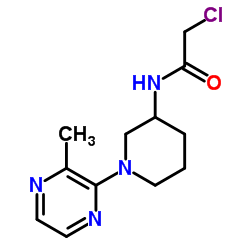 2-Chloro-N-[1-(3-methyl-2-pyrazinyl)-3-piperidinyl]acetamide Structure