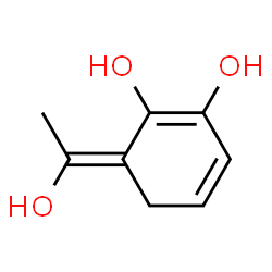 1,3-Cyclohexadiene-1,2-diol, 6-(1-hydroxyethylidene)- (9CI) structure