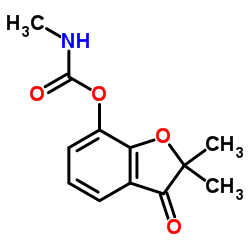 carbofuran-3-keto Structure