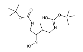 4-N-BOC-AMINOMETHYL-1-N-BOC-PYRROLIDIN-3-ONE OXIME picture