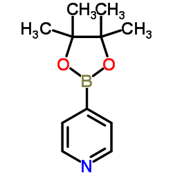 4-Pyridineboronic acid pinacol ester structure