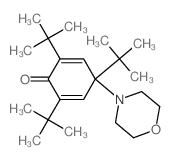 4-morpholin-4-yl-2,4,6-tritert-butyl-cyclohexa-2,5-dien-1-one structure