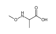 Alanine, N-methoxy- (9CI)结构式