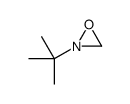 2-tert-butyloxaziridine结构式