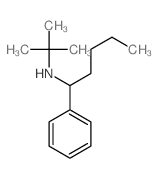 Benzenemethanamine, a-butyl-N-(1,1-dimethylethyl)-结构式