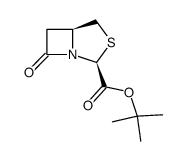 t-butyl 3-endo-isopenam-3-carboxylate结构式