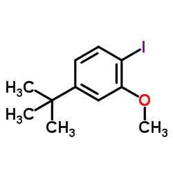 1-Iodo-2-methoxy-4-(2-methyl-2-propanyl)benzene结构式
