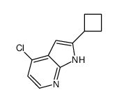 4-氯-2-环丁基-1H-吡咯并[2,3-B]吡啶结构式