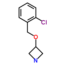 3-((2-Chlorobenzyl)oxy)azetidine picture