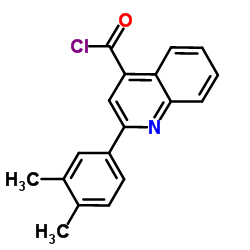 2-(3,4-Dimethylphenyl)-4-quinolinecarbonyl chloride picture