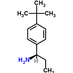 (1R)-1-[4-(2-Methyl-2-propanyl)phenyl]-1-propanamine Structure