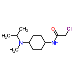 2-Chloro-N-{4-[isopropyl(methyl)amino]cyclohexyl}acetamide结构式