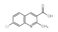7-chloro-2-methylquinoline-3-carboxylic acid picture