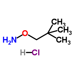 2,2-DIMETHYL-1-PROPANOXYAMINE HYDROCHLORIDE structure