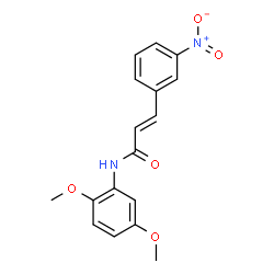 N-(2,5-DIMETHOXYPHENYL)-3-(3-NITROPHENYL)ACRYLAMIDE结构式