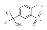 5-叔丁基-2-甲基-苯磺酰氯结构式