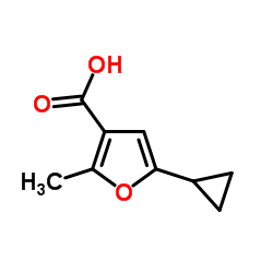 5-CYCLOPROPYL-2-METHYL-FURAN-3-CARBOXYLIC ACID结构式