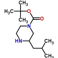 1-Boc-3-Isobutylpiperazine picture