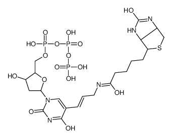 5-(N-(N-biotinyl-epsilon-aminocaproyl)-3-aminoallyl)-2'-deoxuridine 5'-triphosphate Structure