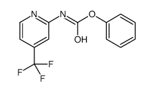 phenyl (4-(trifluoromethyl)pyridin-2-yl)carbamate Structure