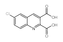 6-Chloroquinoline-2,3-dicarboxylic acid Structure