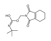 (1,3-dioxo-4,5,6,7-tetrahydroisoindol-2-yl)methyl N-tert-butylcarbamate结构式