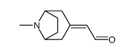 2-(8-methyl-8-azabicyclo[3.2.1]octan-3-ylidene)acetaldehyde Structure