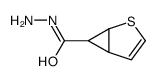 2-thiabicyclo[3.1.0]hex-3-ene-6-carbohydrazide结构式