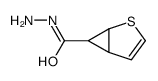 2-thiabicyclo[3.1.0]hex-3-ene-6-carbohydrazide Structure