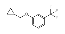 1-(Cyclopropylmethoxy)-3-(trifluoromethyl)benzene picture