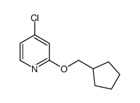 4-Chloro-2-(cyclopentylmethoxy)pyridine Structure