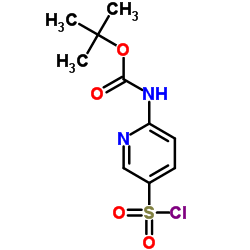 2-Methyl-2-propanyl [5-(chlorosulfonyl)-2-pyridinyl]carbamate结构式