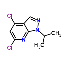 4,6-二氯-1-异丙基-1h-吡唑并[3,4-b]吡啶结构式