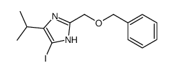 4-iodo-2-(phenylmethoxymethyl)-5-propan-2-yl-1H-imidazole Structure