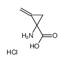 181712-46-9 structure