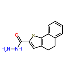 4,5-DIHYDRO-NAPHTHO[1,2-B]THIOPHENE-2-CARBOXYLIC ACID HYDRAZIDE结构式