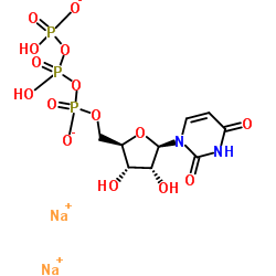 uridine-13c9, 15n2-5 triphosphate sodi u picture