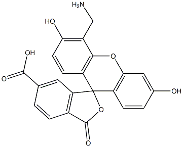 4'-AMinoMethyl-5-FAM structure