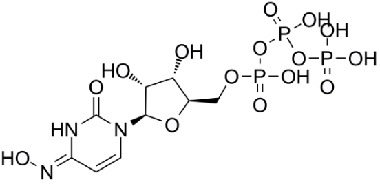NHC-triphosphate picture