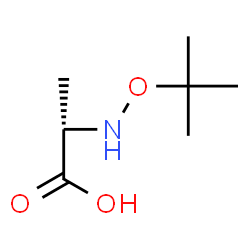 L-Alanine, N-(1,1-dimethylethoxy)- (9CI) Structure