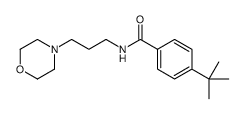 4-tert-butyl-N-(3-morpholin-4-ylpropyl)benzamide结构式