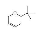 2-tert-butyl-3,6-dihydro-2H-pyran Structure