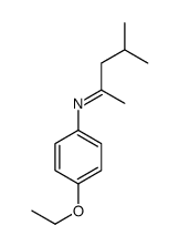 N-(4-ethoxyphenyl)-4-methylpentan-2-imine Structure