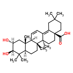 Camaldulenic acid picture