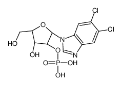 5,6-dichloro-1-(beta-ribofuranosyl)benzimidazole 2'-phosphate结构式