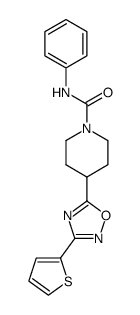 4-(3-thiophen-2-yl[1,2,4]oxadiazol-5-yl)piperidine-1-carboxylic acid phenylamide结构式