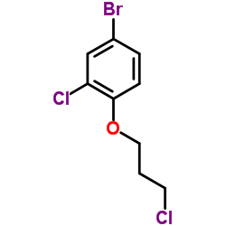 1040050-91-6 structure