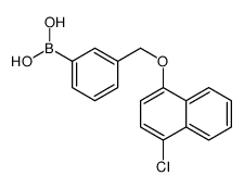 [3-[(4-chloronaphthalen-1-yl)oxymethyl]phenyl]boronic acid结构式