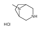 8-methyl-3,8-diazabicyclo[3.2.1]octane,hydrochloride Structure