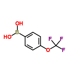 [4-(Trifluoromethoxy)phenyl]boronic acid picture